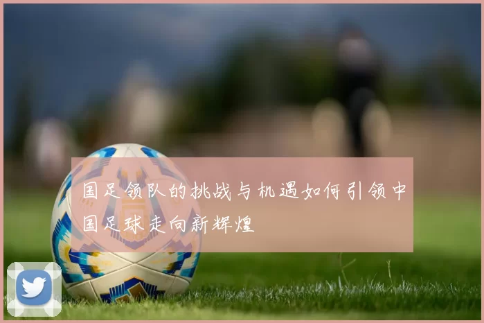 国足领队的挑战与机遇如何引领中国足球走向新辉煌