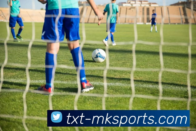 MK体育平台生态图